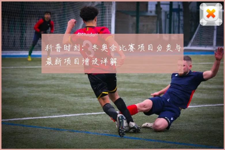 科普时刻：冬奥会比赛项目分类与最新项目增设详解