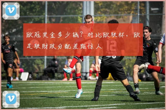 欧冠奖金多少钱？对比欧联杯，欧足联财政分配差距惊人
